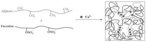 A kind of modified hydrogel, modified hydrogel microsphere and preparation method and application thereof