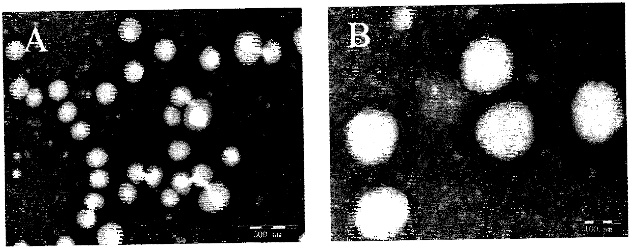 A kind of nano-suspension of anemone medicine and preparation method thereof