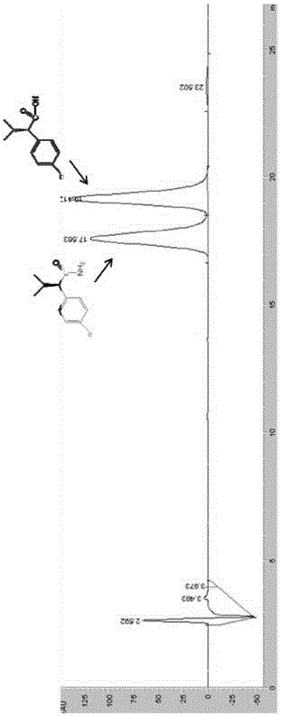 Amidase, coding gene and applications thereof