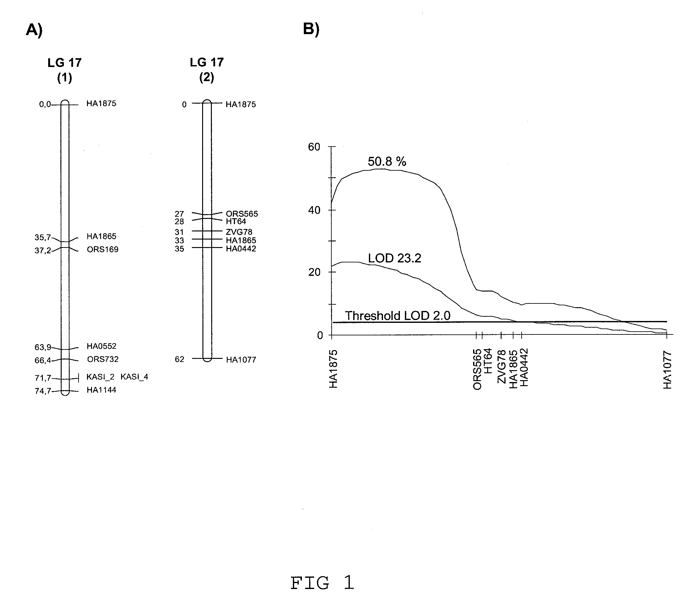 Low saturated-fat sunflower and associated methods