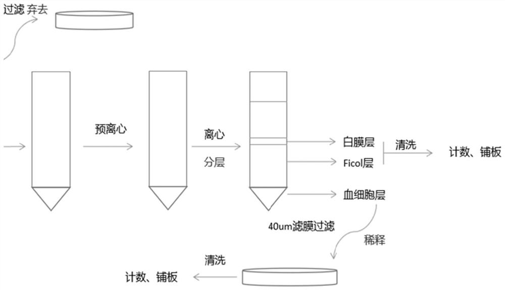 Method for preparing menstrual blood-derived mesenchymal stem cells