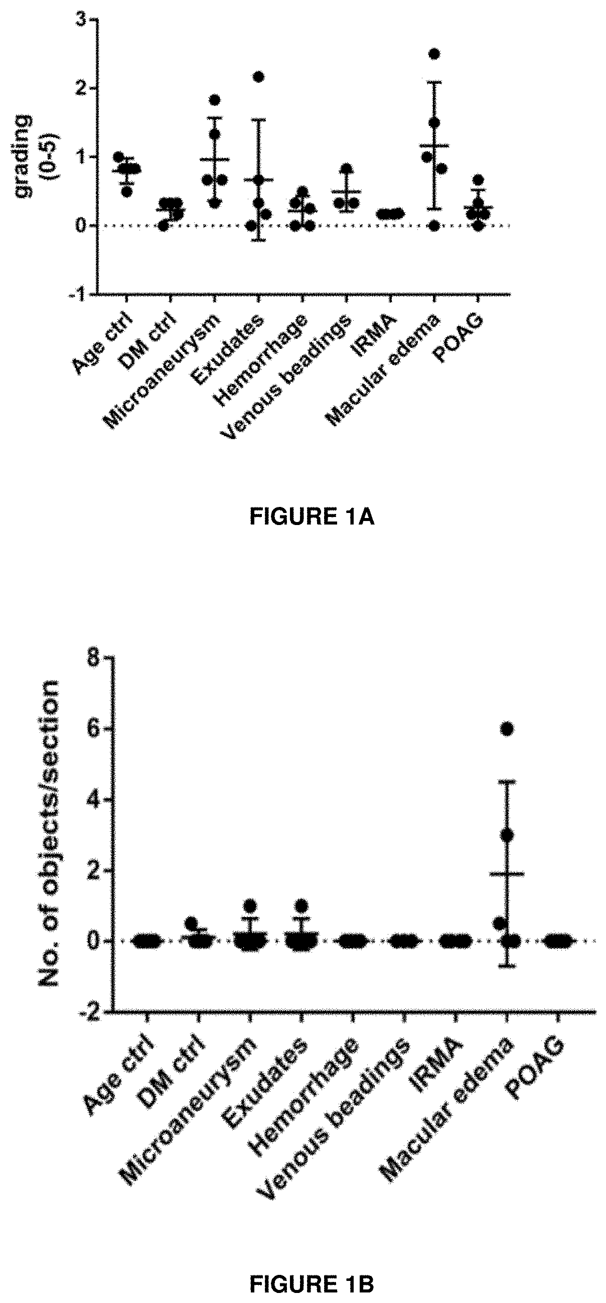 Anti-nrp1a antibodies and their uses for treating eye or ocular diseases