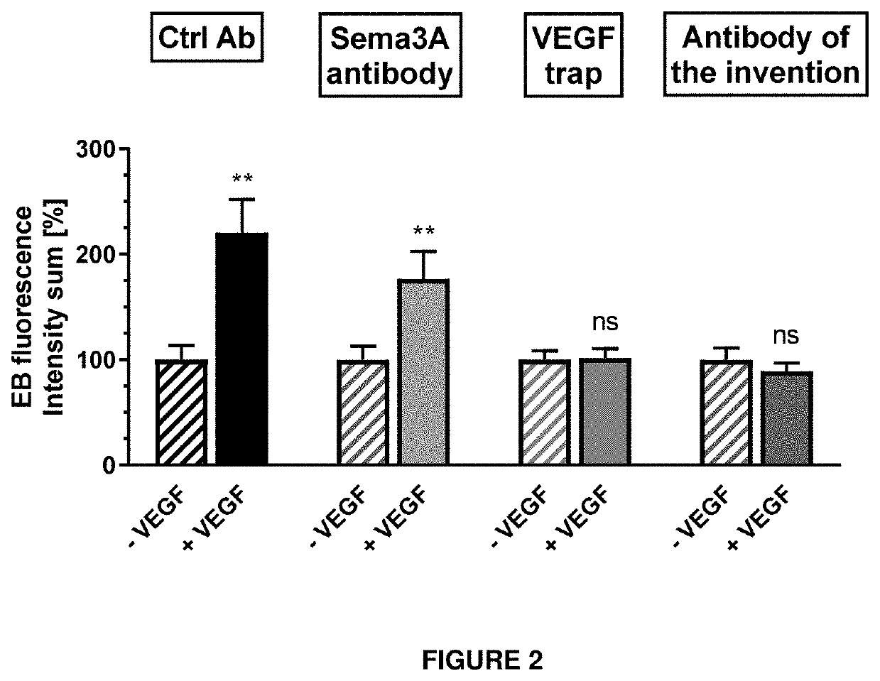 Anti-nrp1a antibodies and their uses for treating eye or ocular diseases