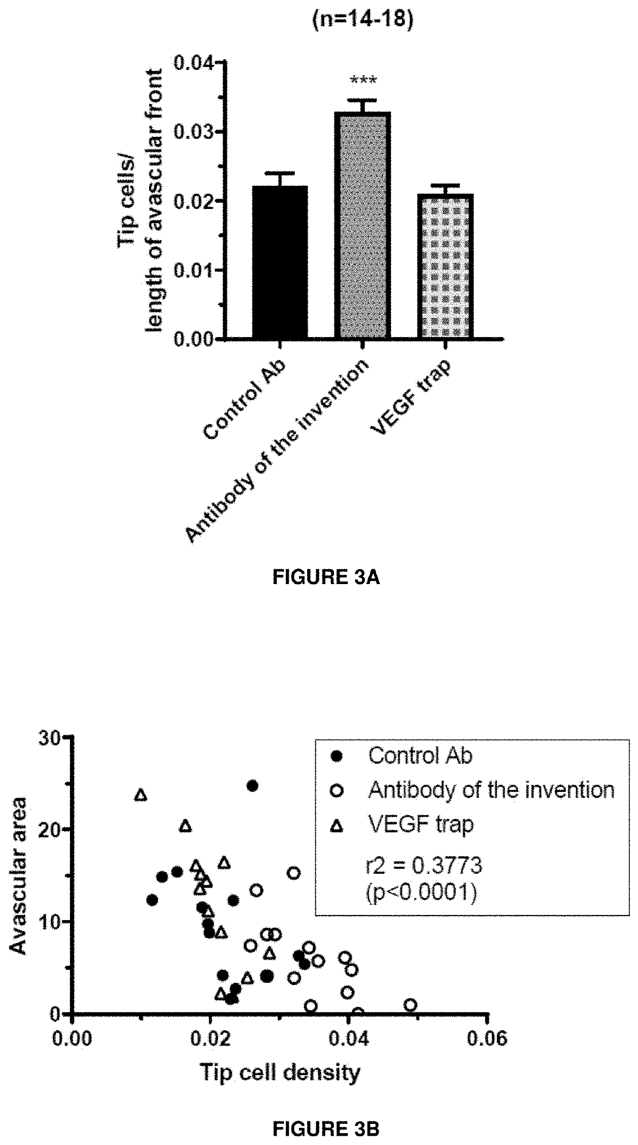 Anti-nrp1a antibodies and their uses for treating eye or ocular diseases