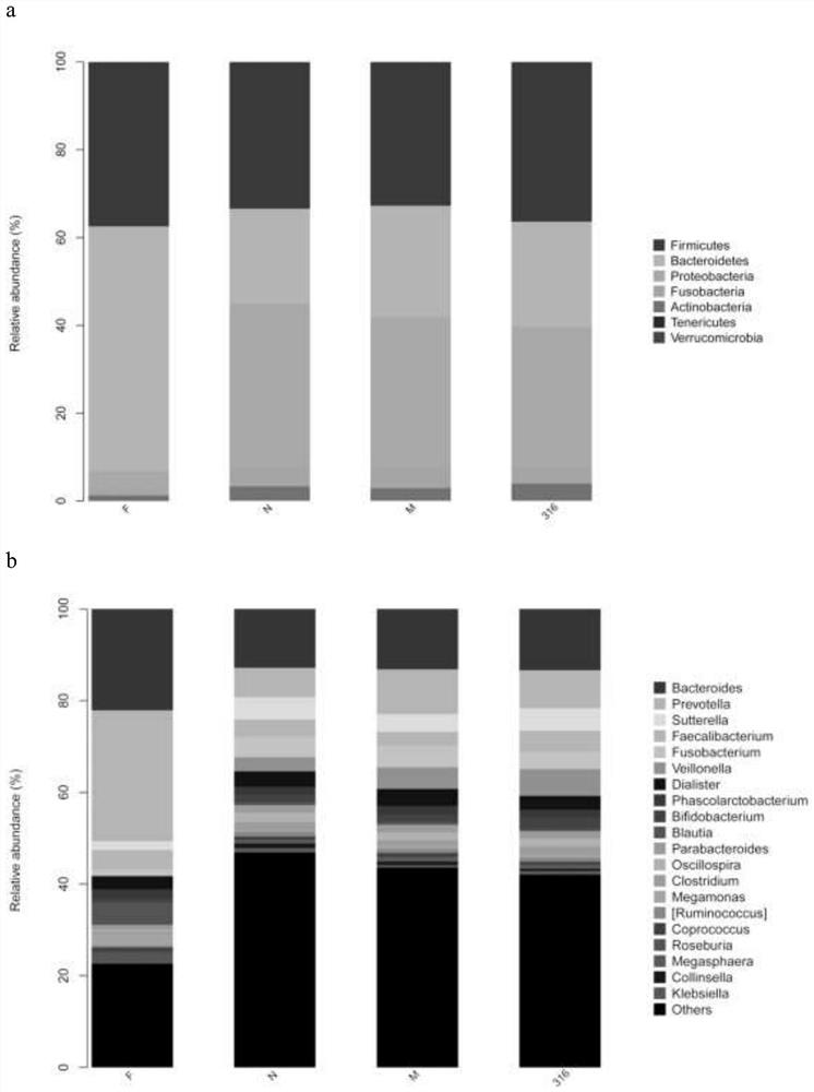 The method of using lactic acid bacteria to improve the health function of cabbage