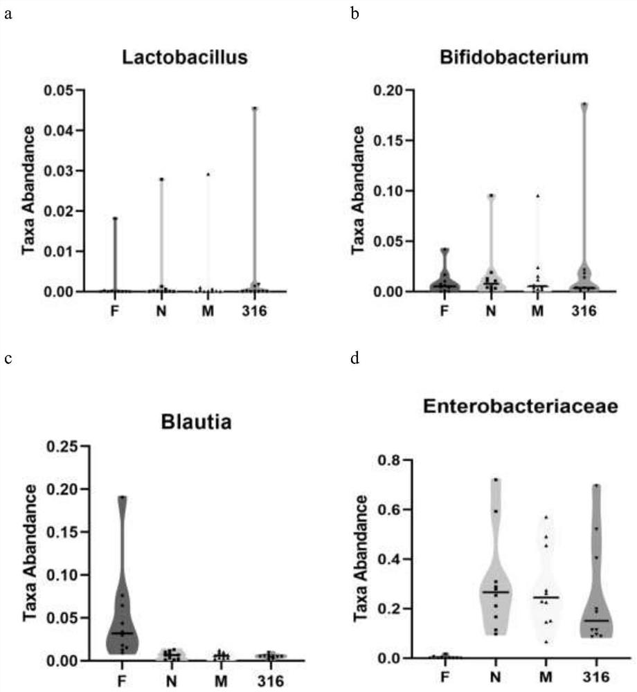 The method of using lactic acid bacteria to improve the health function of cabbage