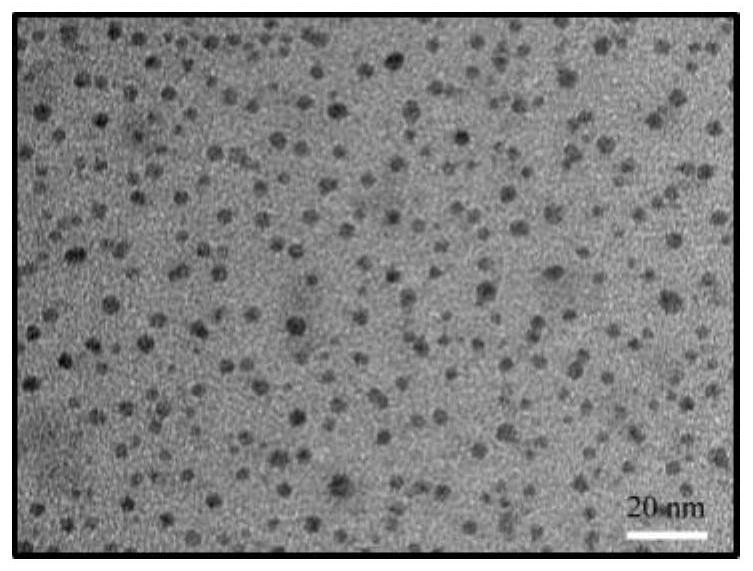 A protein-wrapped fluorescent gold nanocluster, its preparation method and its application