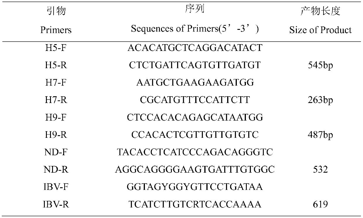 Separation, identification and application of avian H9N2 subtype avian influenza virus strain