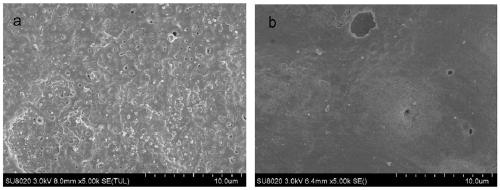 Ion liquid assisted magnesium lithium alloy anodic oxidation film forming method