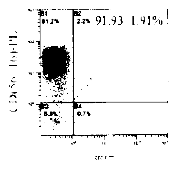 Method for in-vitro amplification of NK cells