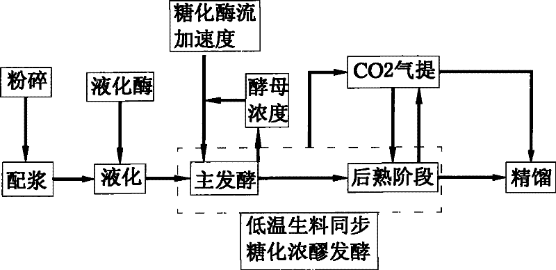 Method for producing ethanol by fermenting raw thick mash at low temperature