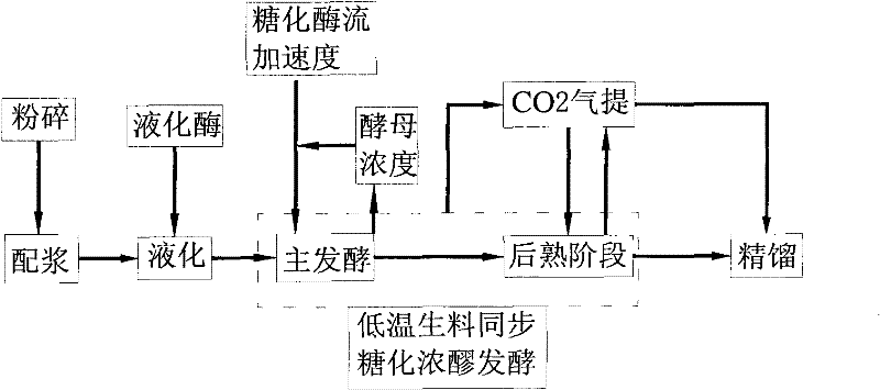 Method for producing ethanol by fermenting raw thick mash at low temperature