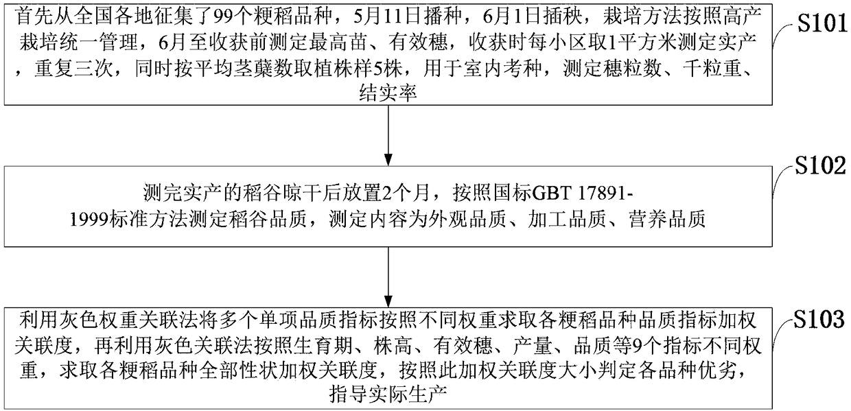 Screening and cultivation method for high-quality and high-efficiency single-season japonica rice in middle and lower reaches of the Yangtze River