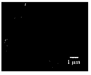 Magnesium workpiece surface spraying fluid and application thereof