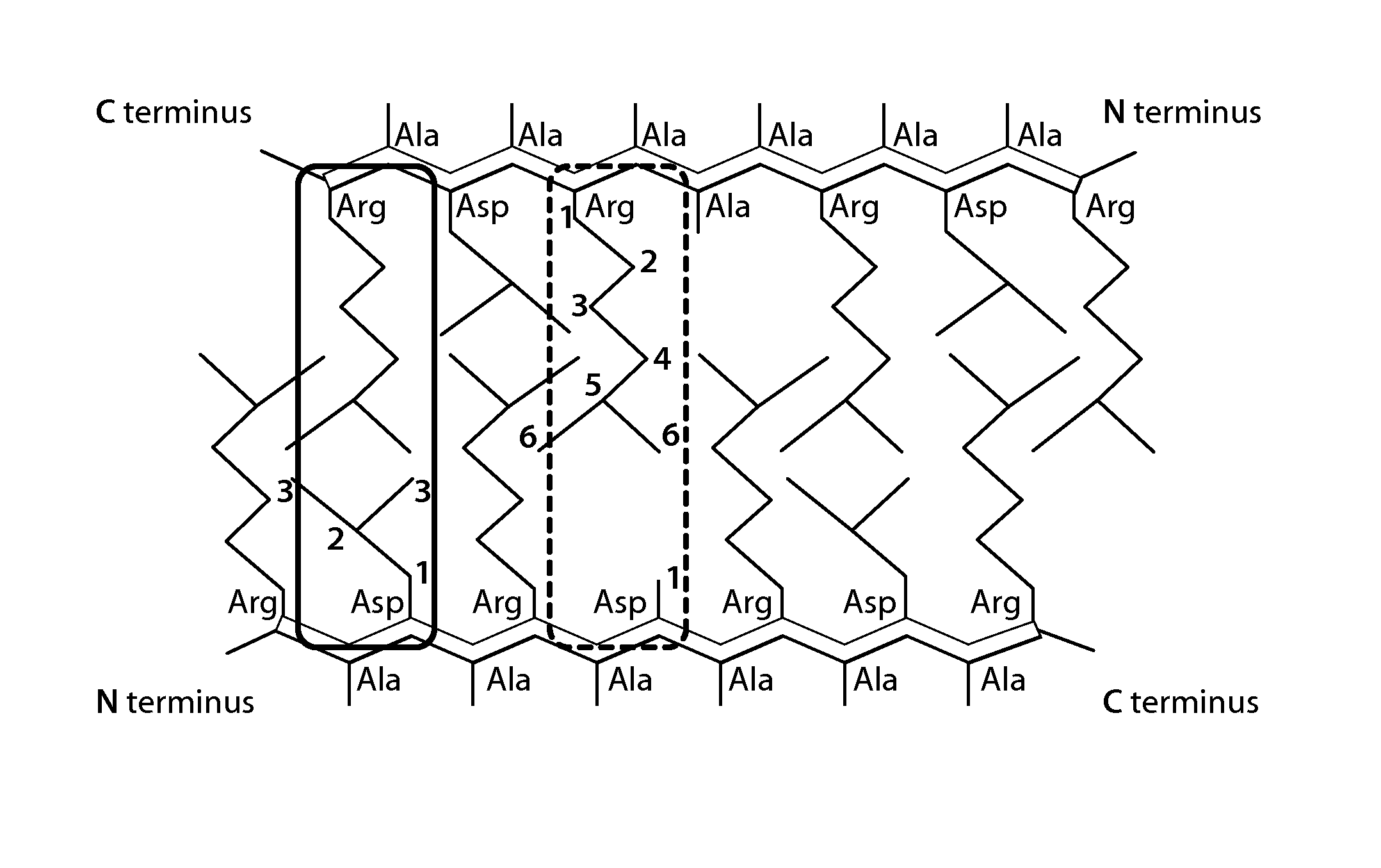 Self-Assembling Peptide and Peptide Gel with High Strength