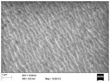 Method for preparing lithium ion battery membrane