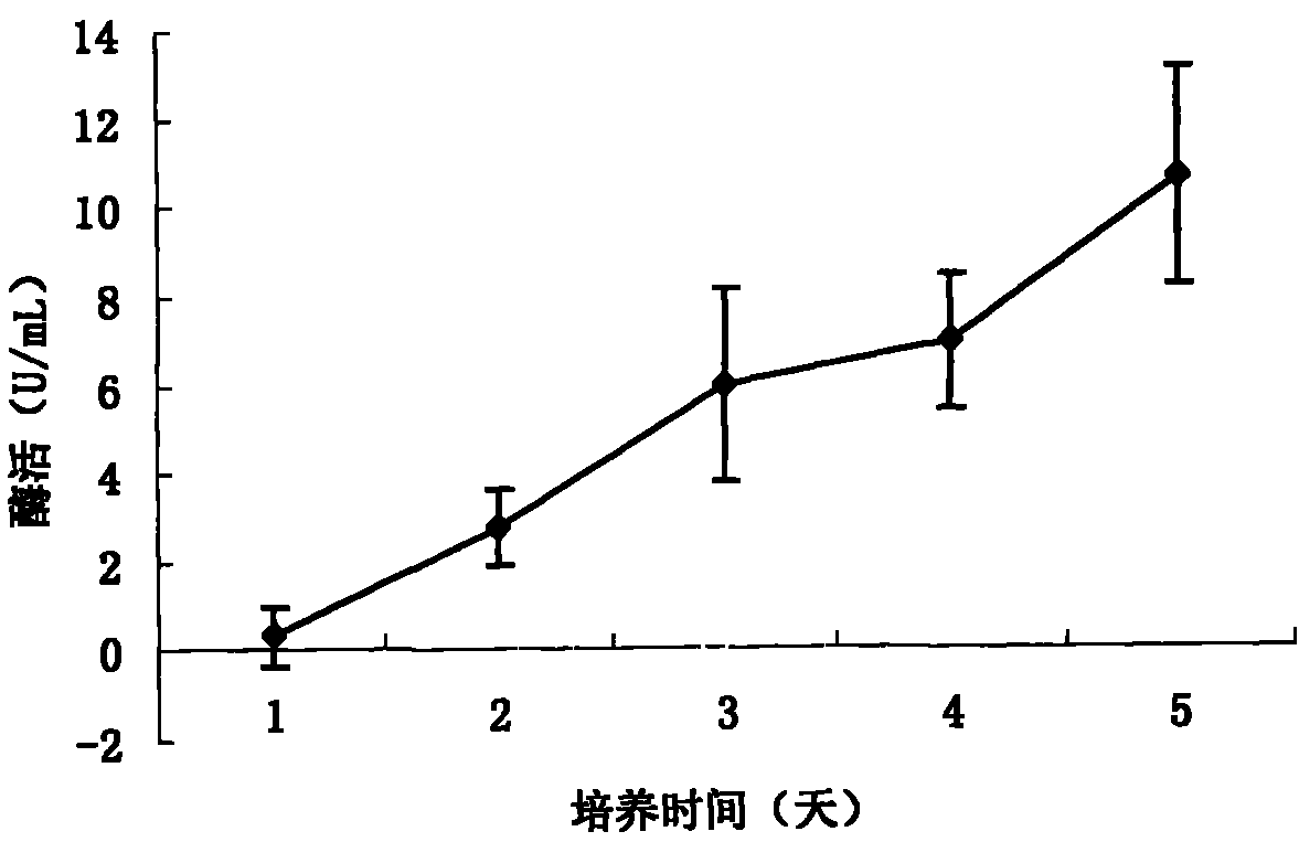 Method for constructing ester bond enzyme engineering bacteria for tendency hydrolysis of TAG sn-2 and corresponding recombinant lipase