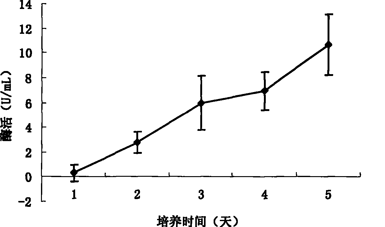 Method for constructing ester bond enzyme engineering bacteria for tendency hydrolysis of TAG sn-2 and corresponding recombinant lipase