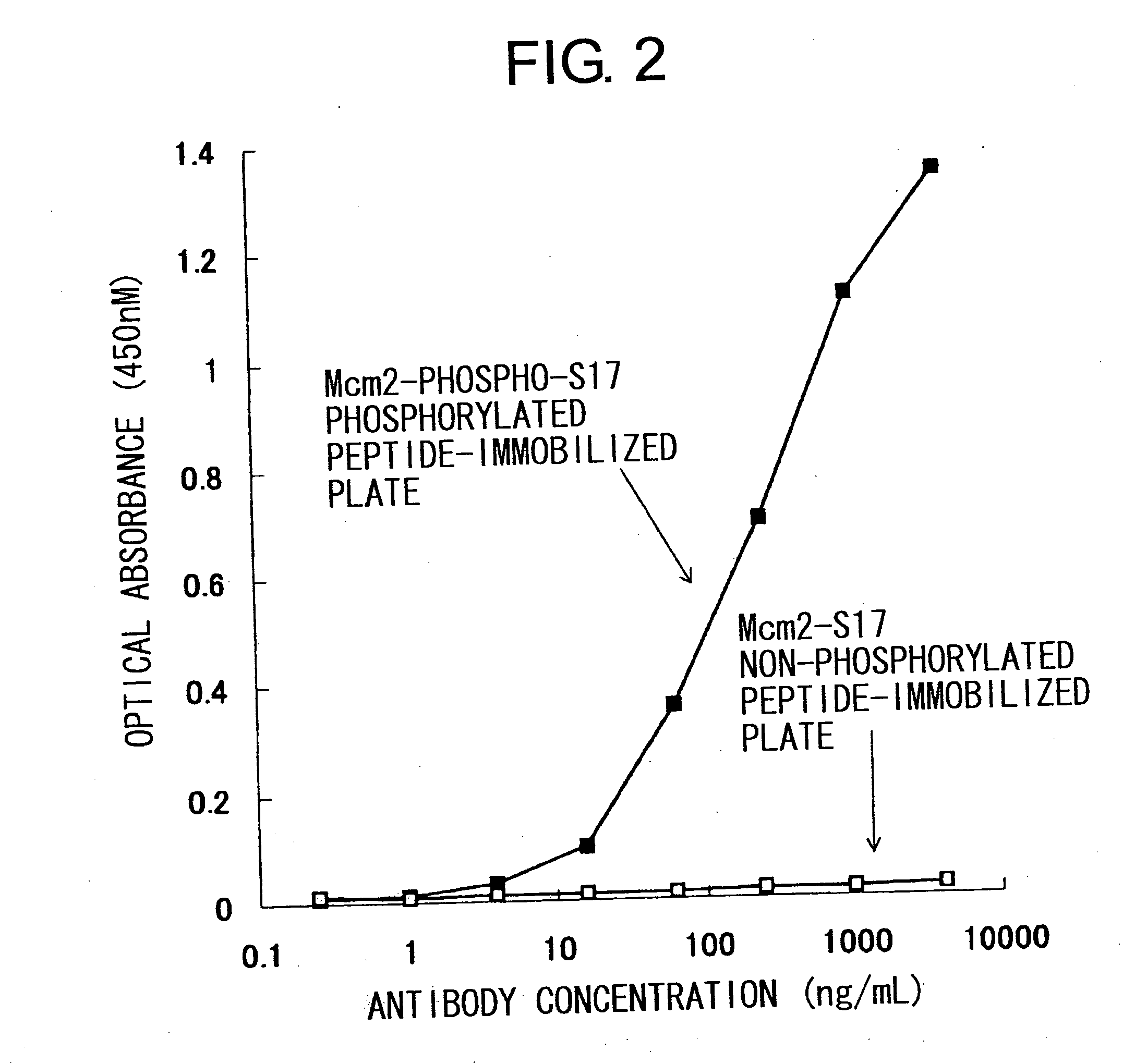 Cdc7-ask kinase complex, substrates of the kinase complex, antibody specific to the substrate, and method of screening compound capable of inhibiting cdc7-ask kinase using the same