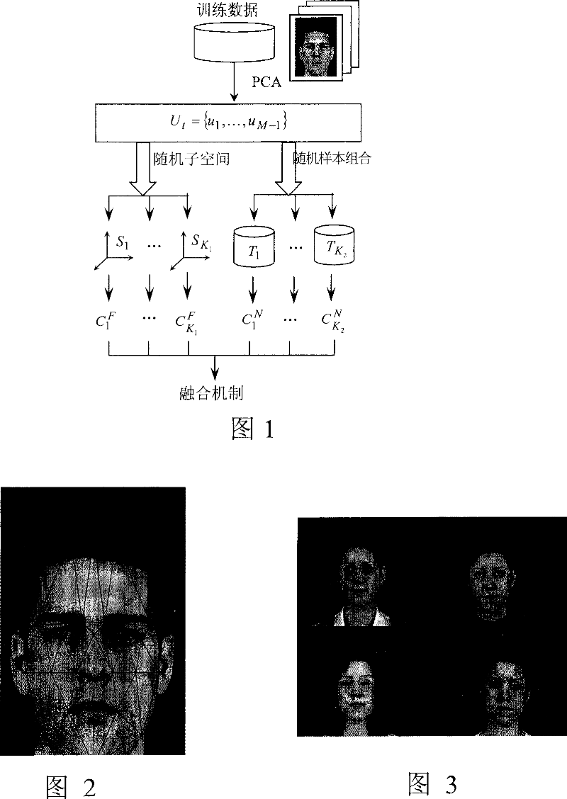 Face recognition method based on random sampling