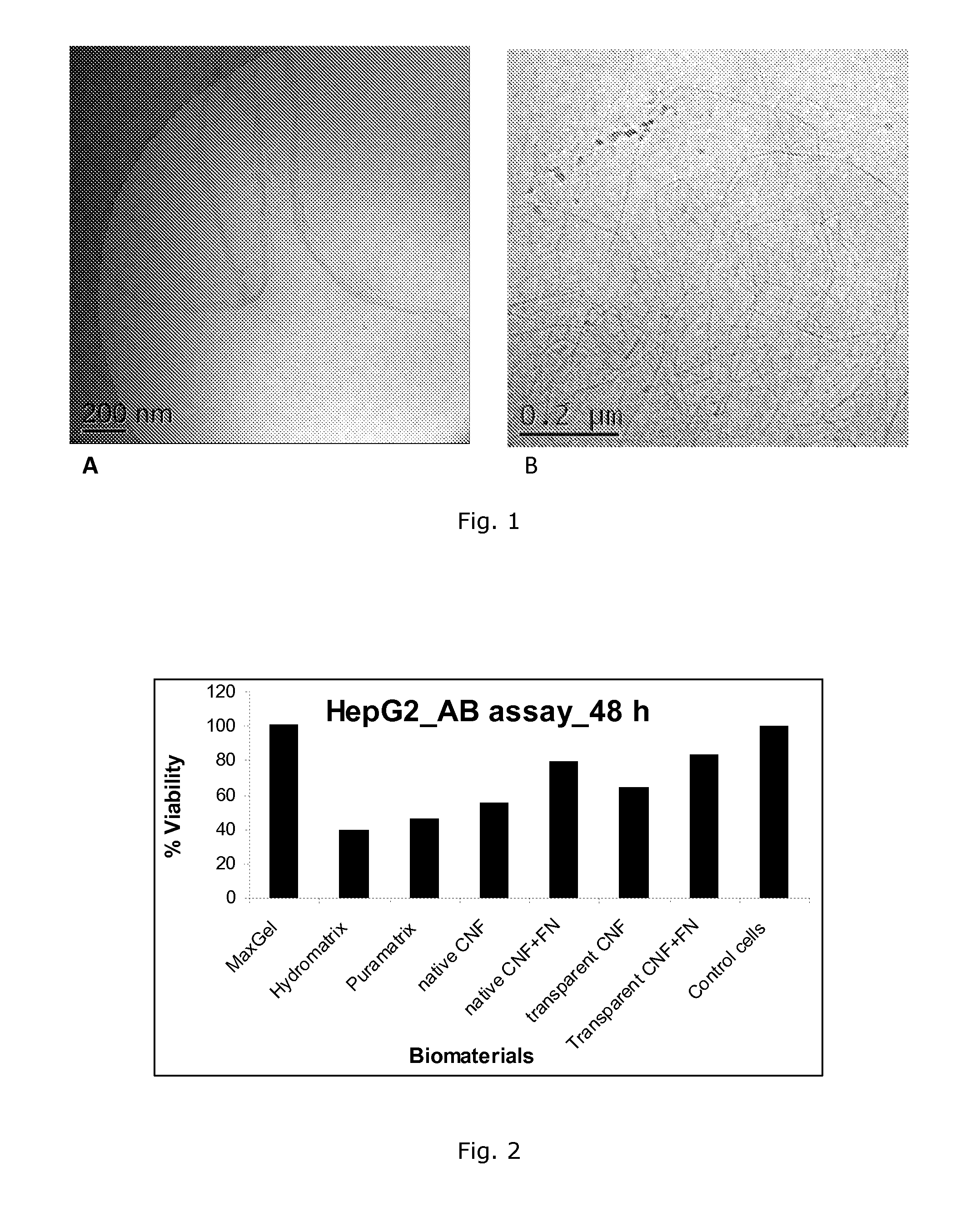 Plant derived cell culture material