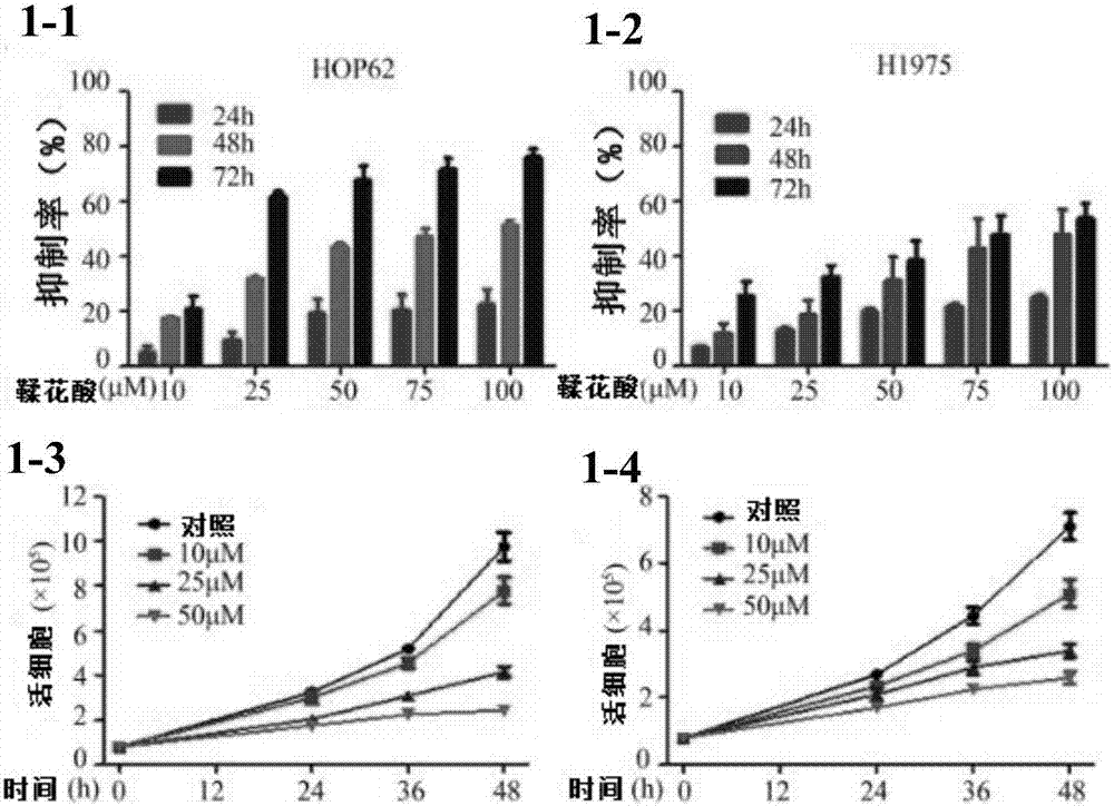 Application of ellagic acid and tripterine for synergically preparing anti-lung cancer drug