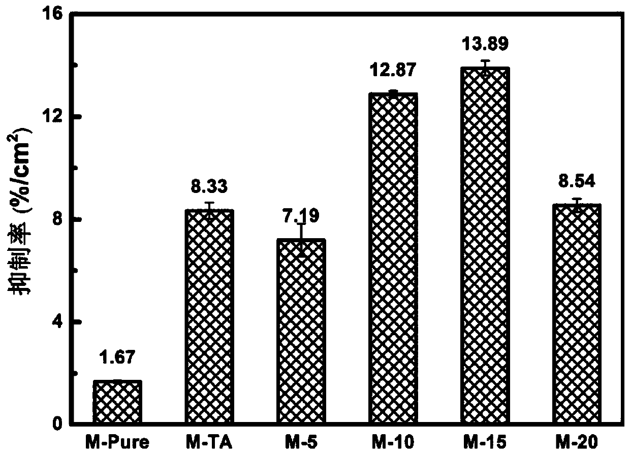 Plant polyphenol-polyacrylamide morpholine composite modified hemodialysis membrane, and preparation method and application thereof