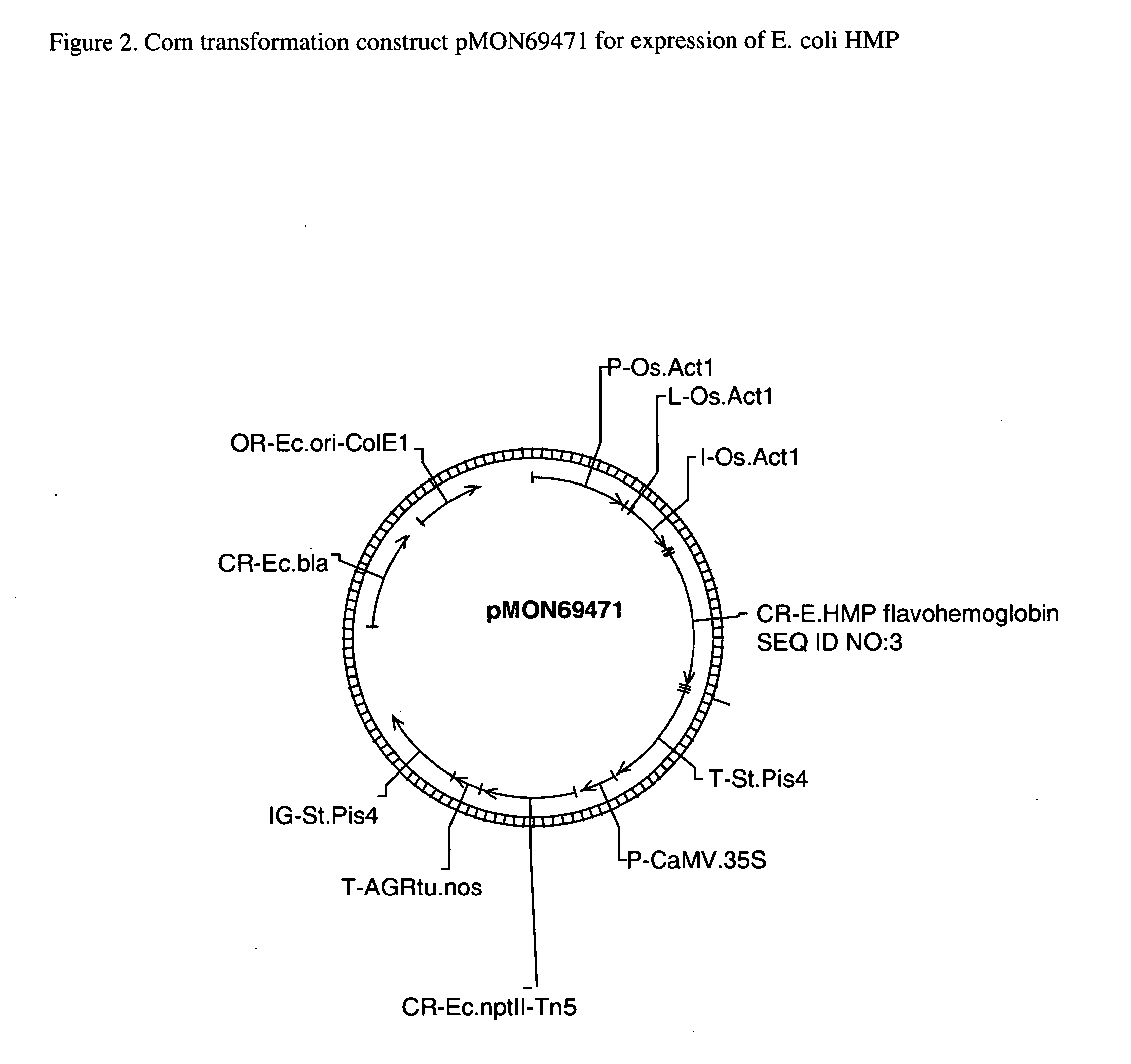 Plants containing a heterologous flavohemoglobin gene and methods of use thereof