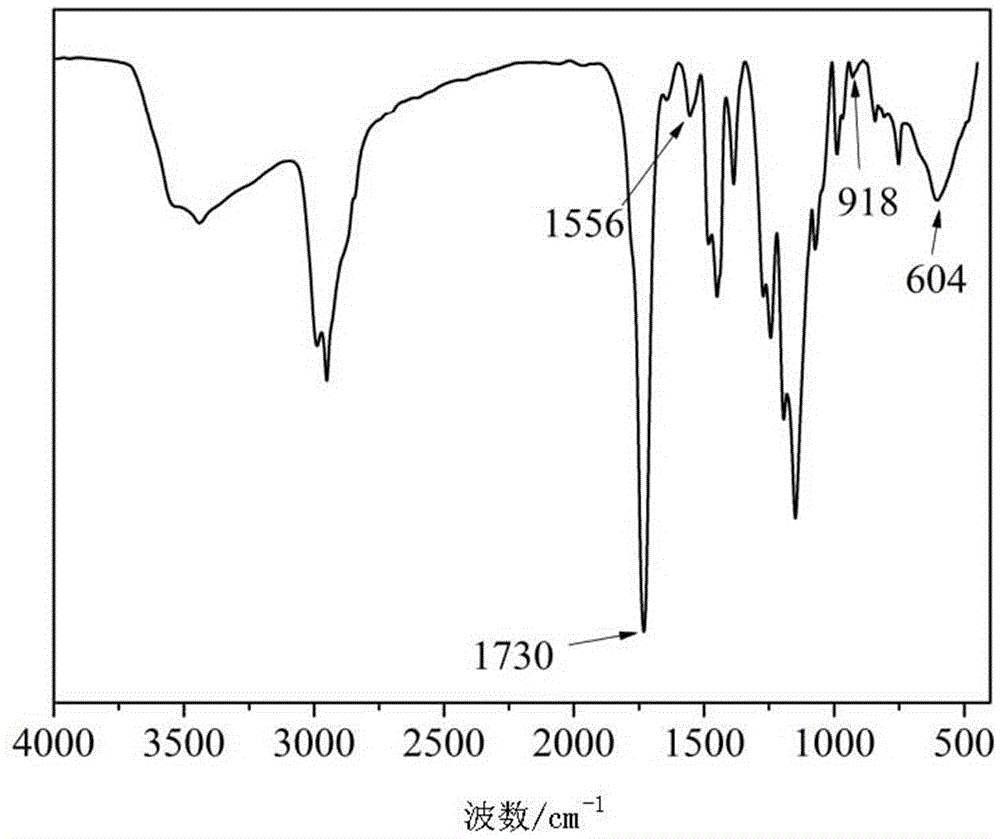 Preparation method of composite diaphragm