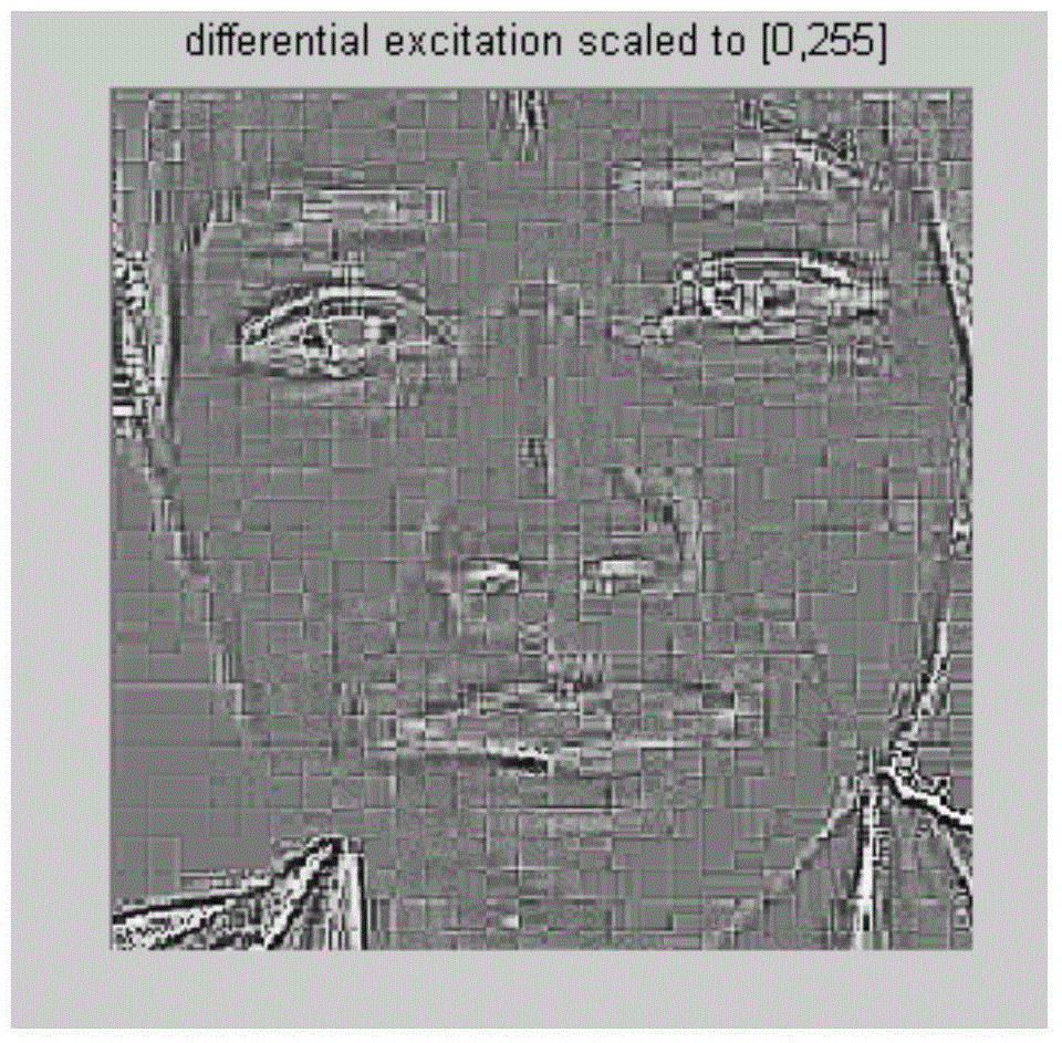 Living body face detection method based on WLD-TOP (Weber Local Descriptor-Three Orthogonal Planes)
