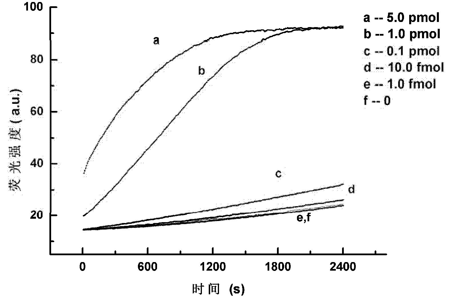 Method for specific signal amplification and detection of DNA targeted sequence
