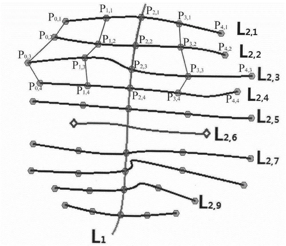 Laser point cloud data-oriented broad-leaved tree real leaf modeling and deforming method
