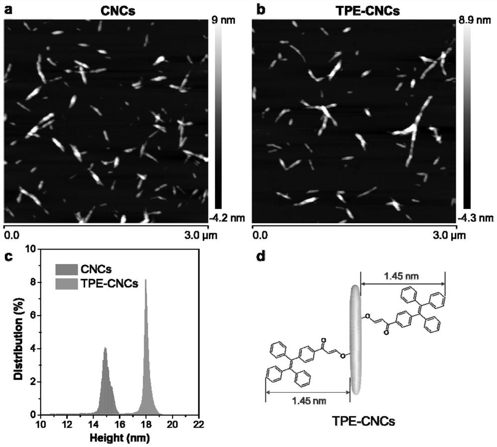 Fluorescent nano particle with AIE characteristic, bionic nano composite hydrogel actuator, preparation method and application