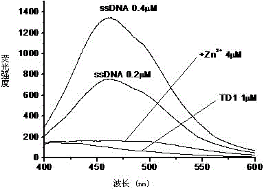 A Metal Complex Nucleic Acid Fluorescent Probe