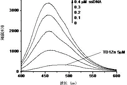 A Metal Complex Nucleic Acid Fluorescent Probe