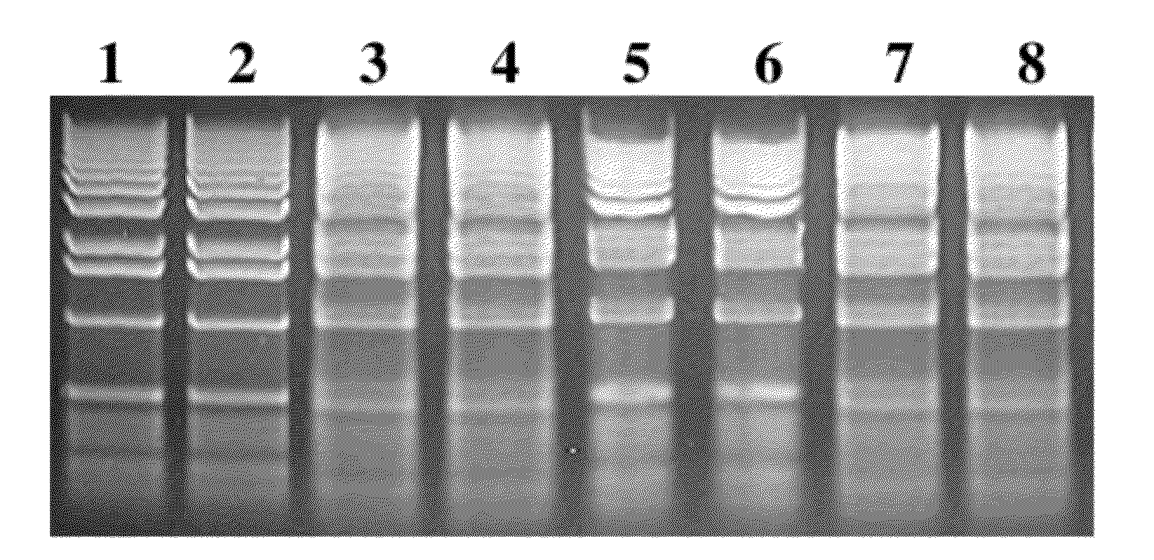 Dry compositions and methods for gel electrophoresis