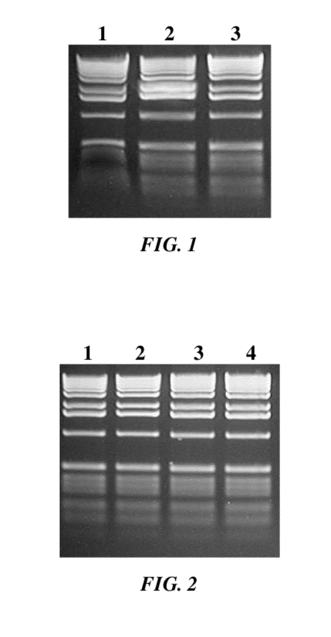 Dry compositions and methods for gel electrophoresis