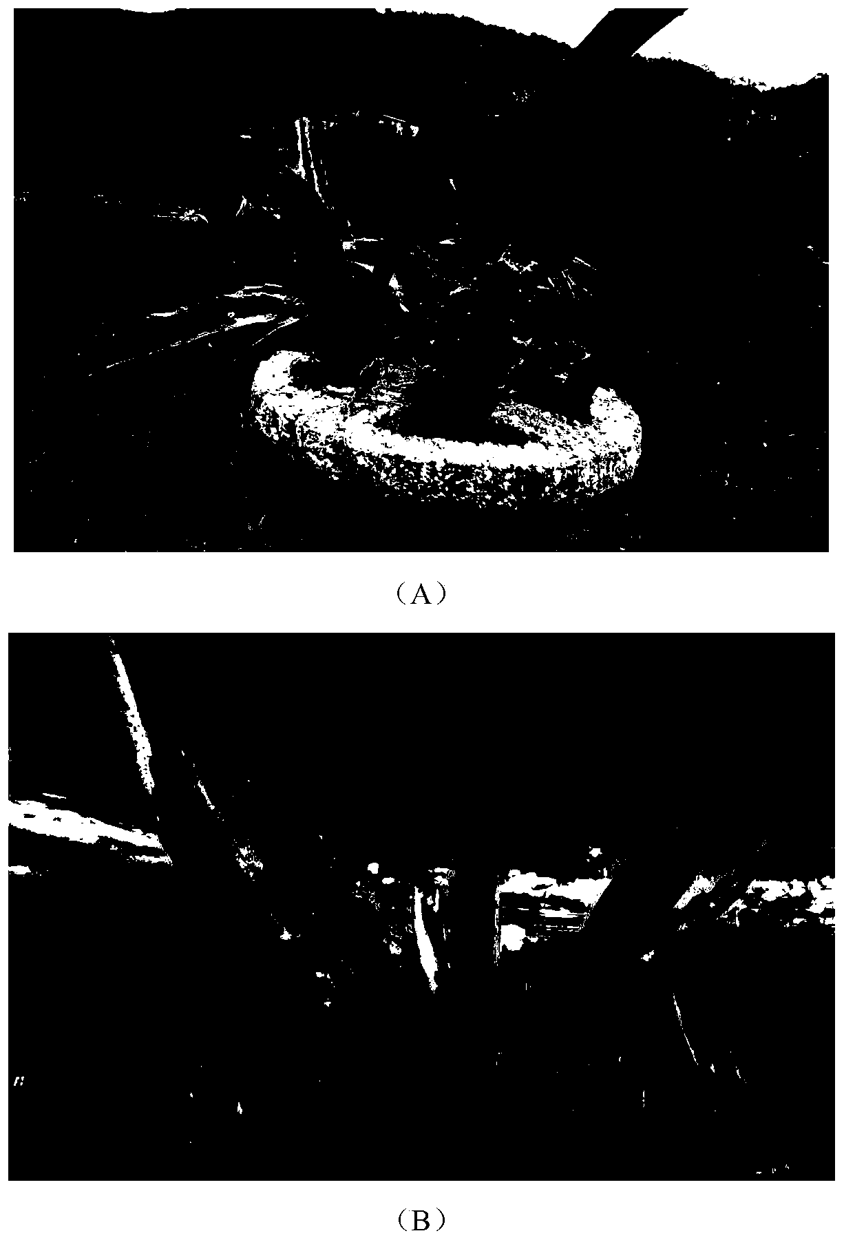 Comprehensive prevention and control method of pitaya brown rot based on precise pesticide application and application thereof