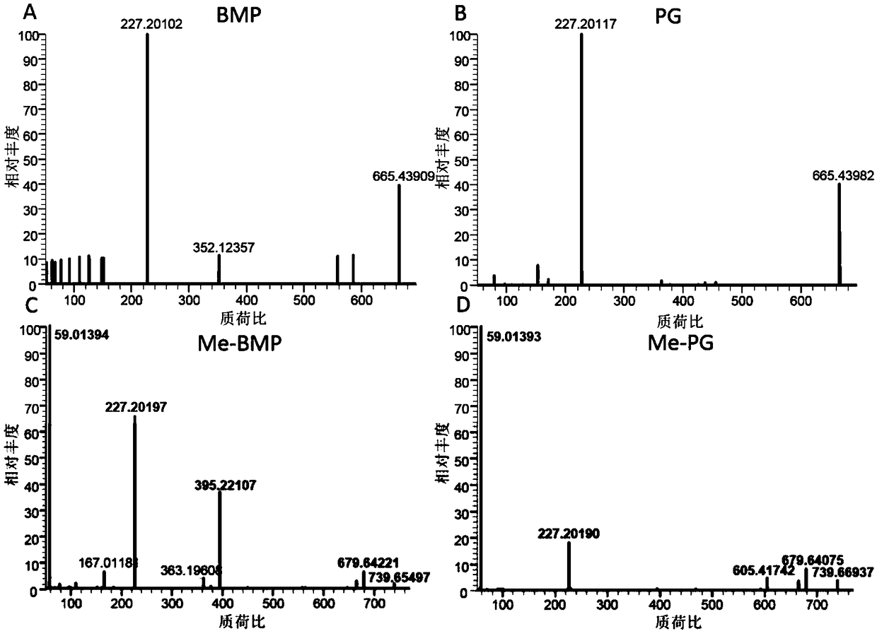 Method for detecting bis-phospholipid in high flux manner