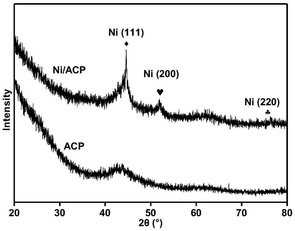 High-activity Ni/ACP catalyst and preparation method and application thereof
