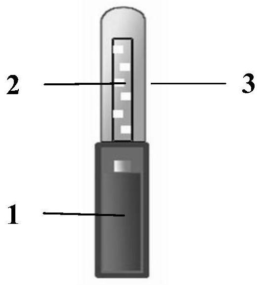 Solubilizing bodipy photosensitizer, preparation method and application in preparing medicine for treating body surface diseases