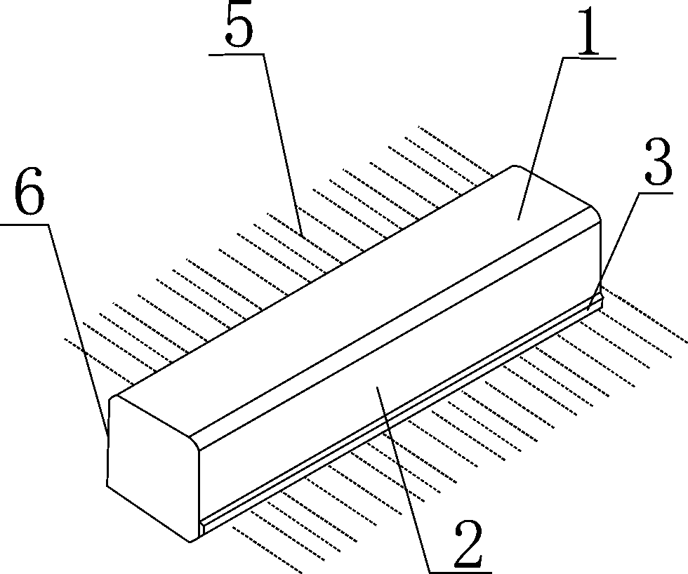 Silicon rod with chamfered guide strip