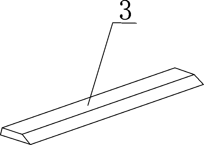 Silicon rod with chamfered guide strip