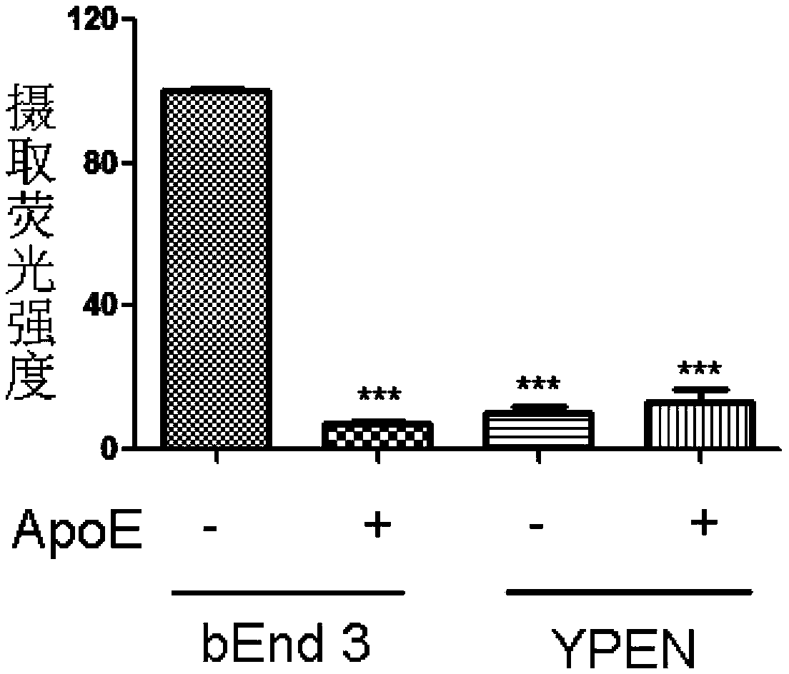 A beta targeted recombinant lipoprotein nano drug carrier and preparation method and application thereof