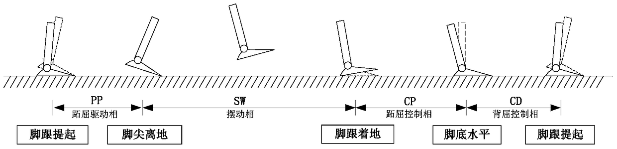 A system and method for detecting plantar flexion phase of human ankle joint