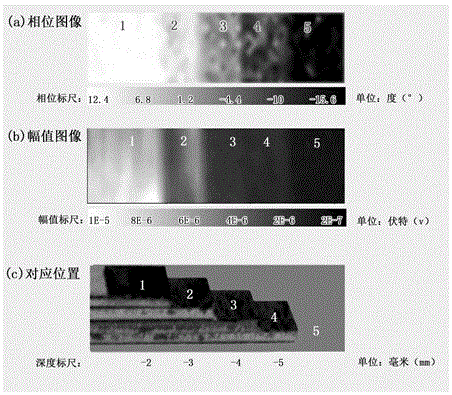 Frequency domain photoacoustic imaging detection method and system of biological tissues