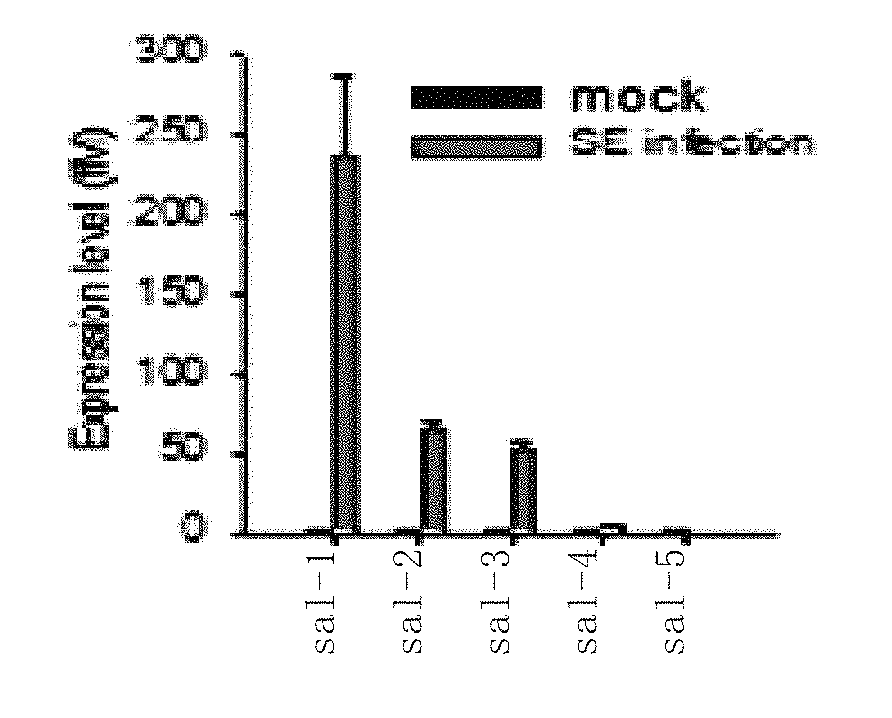 Non-coding RNA of <i>Salmonella </i>and identification and use thereof