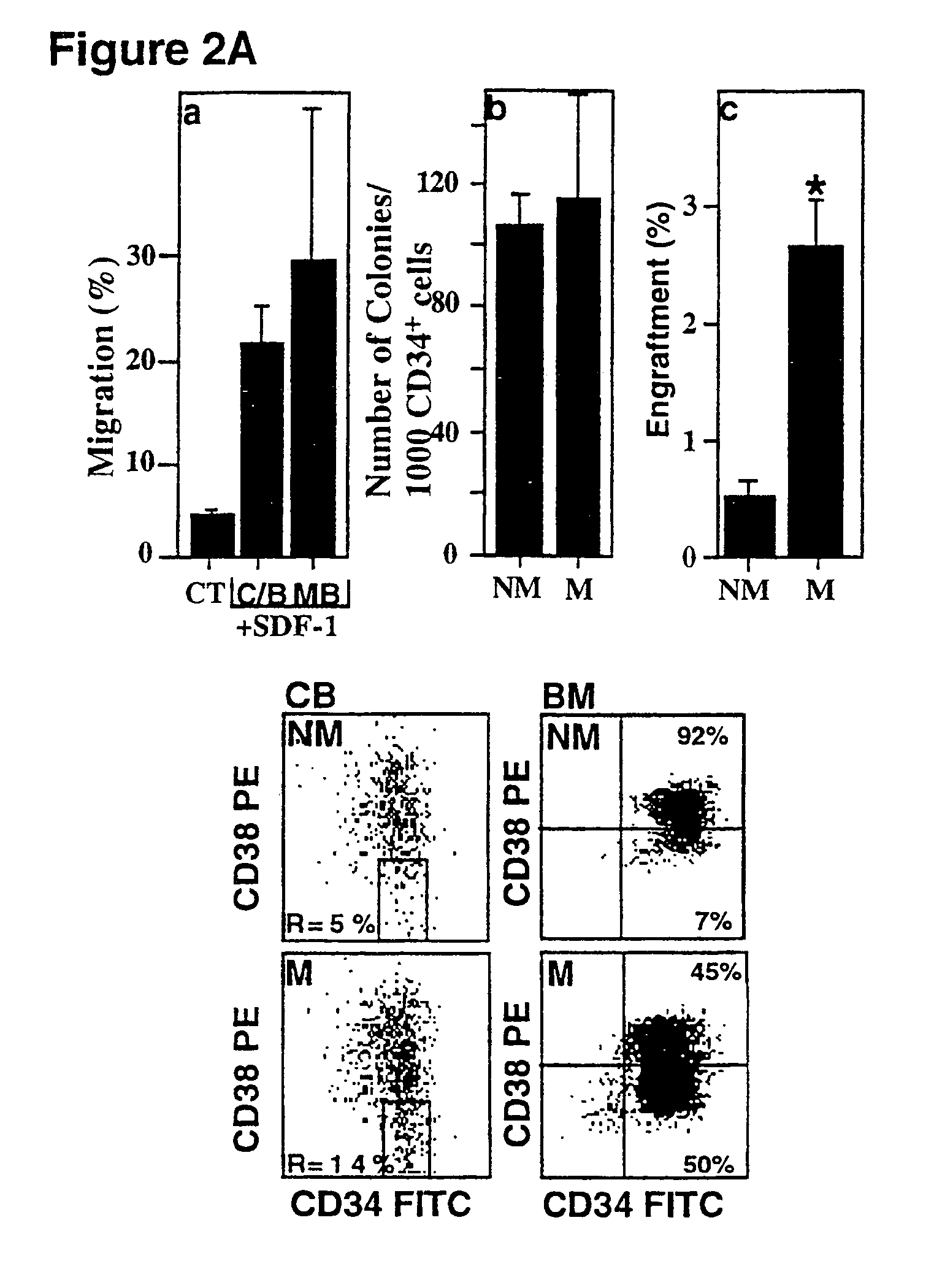 Hematopoietic cell composition for use in transplantation
