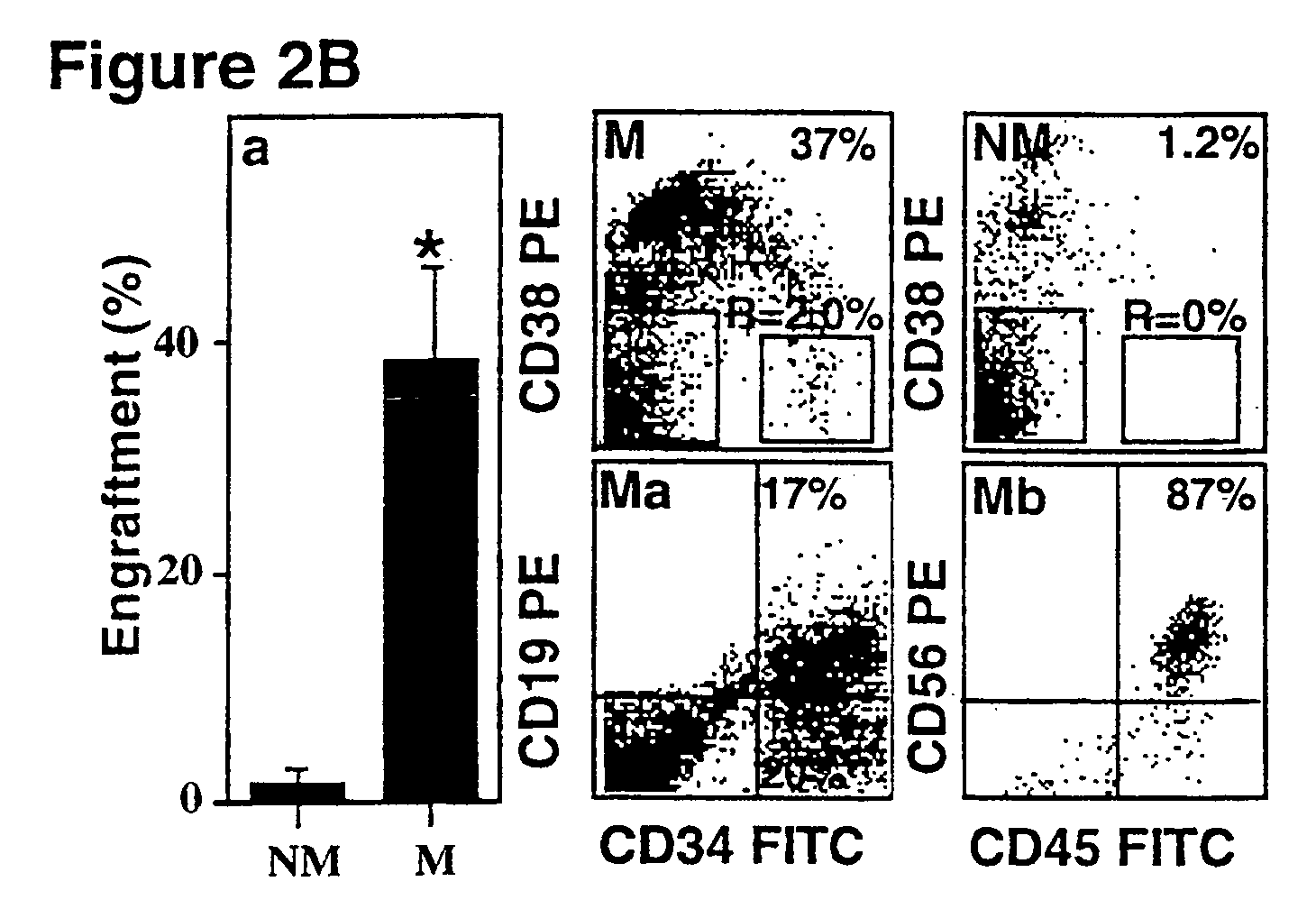 Hematopoietic cell composition for use in transplantation