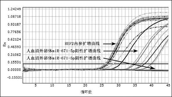 Application of mir-671-5p reagent for detection of human serum exosomes and osteoporosis detection kit